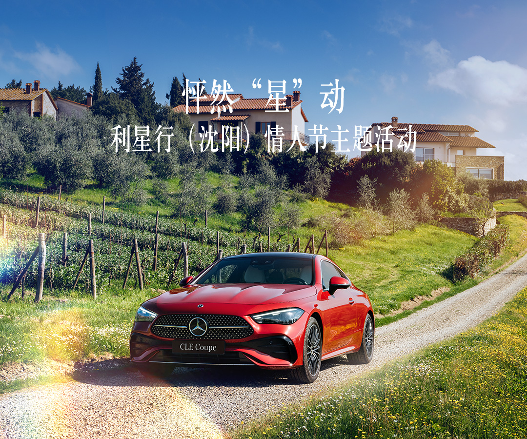 怦然“星”动 - 利星行(沈阳)情人节主题活动