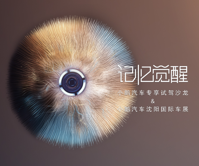 记忆觉醒 小鹏汽车专享试驾沙龙x小鹏汽车沈阳国际车展